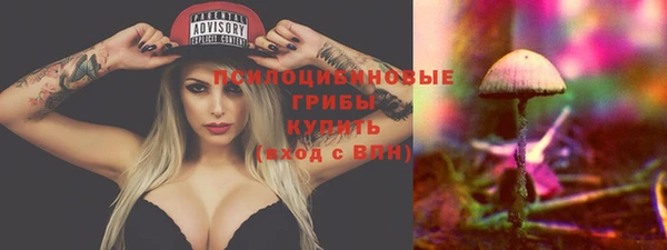 ПСИЛОЦИБИНОВЫЕ ГРИБЫ Абдулино