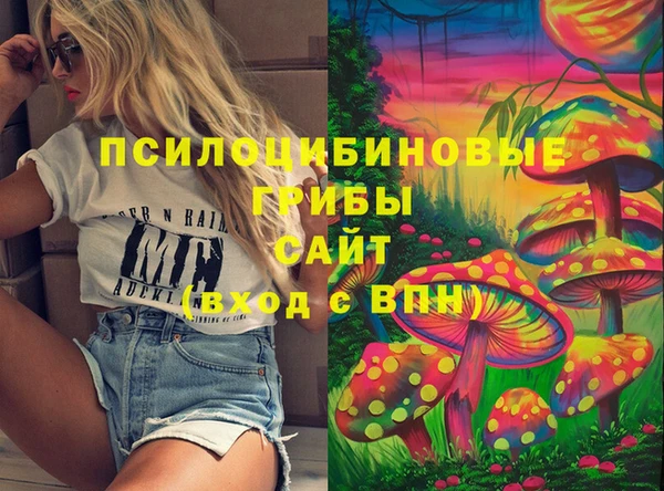 ПСИЛОЦИБИНОВЫЕ ГРИБЫ Абдулино