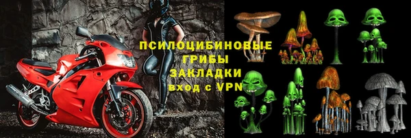 ПСИЛОЦИБИНОВЫЕ ГРИБЫ Абдулино